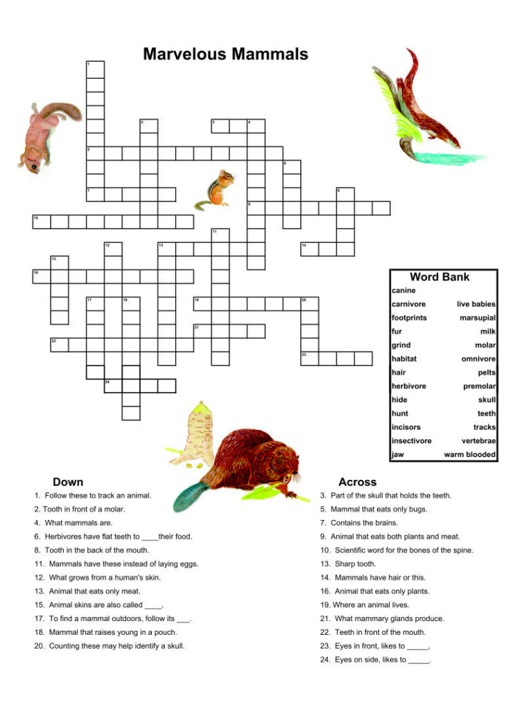 Free Printable Activities For Dementia Patients Thekidsworksheet