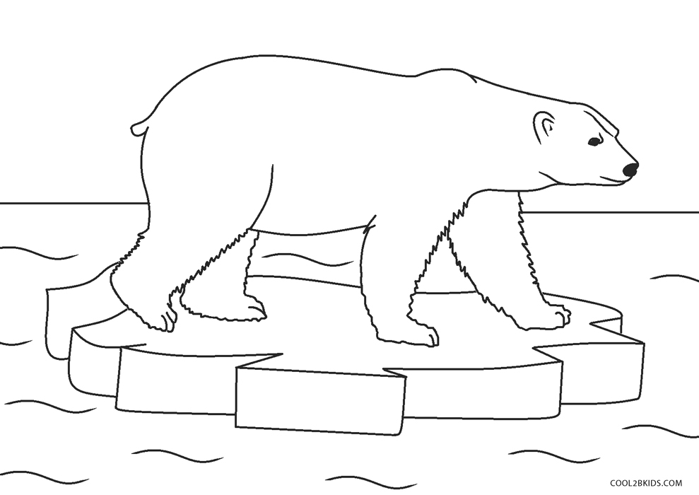 Free Printable Bear Coloring Pages For Kids