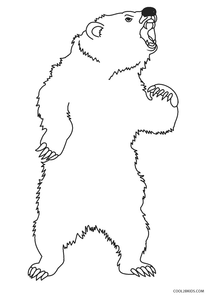 Free Printable Bear Coloring Pages For Kids