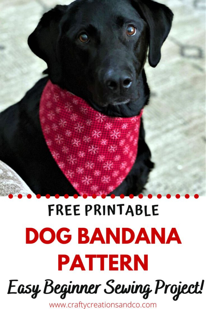 Printable Tie On Dog Bandana Template FreePrintable.me