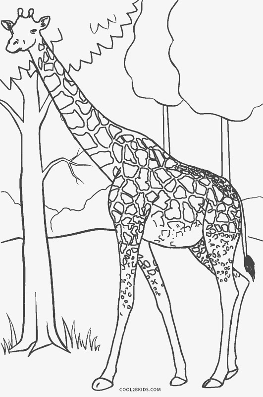 Free Printable Giraffe Coloring Pages For Kids