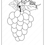 Free Printable Grapes Pdf Coloring Page