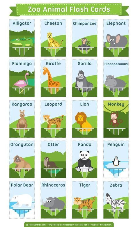 Free Printable Zoo Animal Flash Cards Download Them In PDF Format At