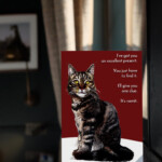 Funny Cat Birthday Card Happy Birthday Cat Sarcastic Cat Etsy