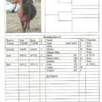 Goat Record Keeping Spreadsheet Intended For Record Keeping Eden Hills