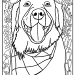 Golden Retriever Coloring Page At GetColorings Free Printable