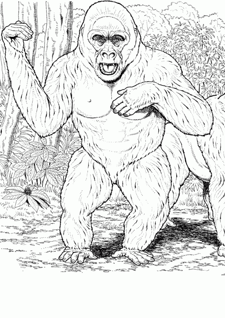 Gorilla Coloring Pages To Download And Print For Free