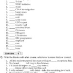 Grade 10 Grammar Lesson 26 Articles A And An Good Grammar Grammar