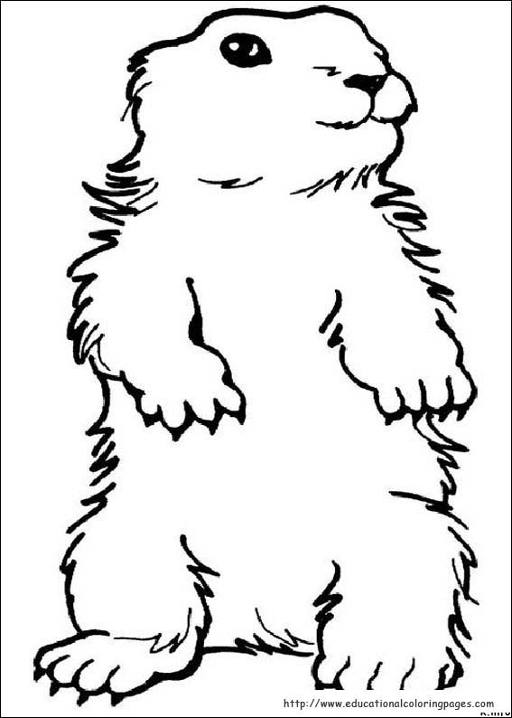 Groundhog Day Coloring Pages Educational Fun Kids Coloring Pages And 