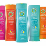 Herbal Essences Shampoo Or Conditioner Just 1 50 At Fred Meyer