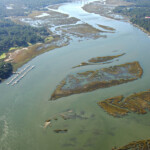 Hilton Head Island Harbor In Hilton Head Island SC United States