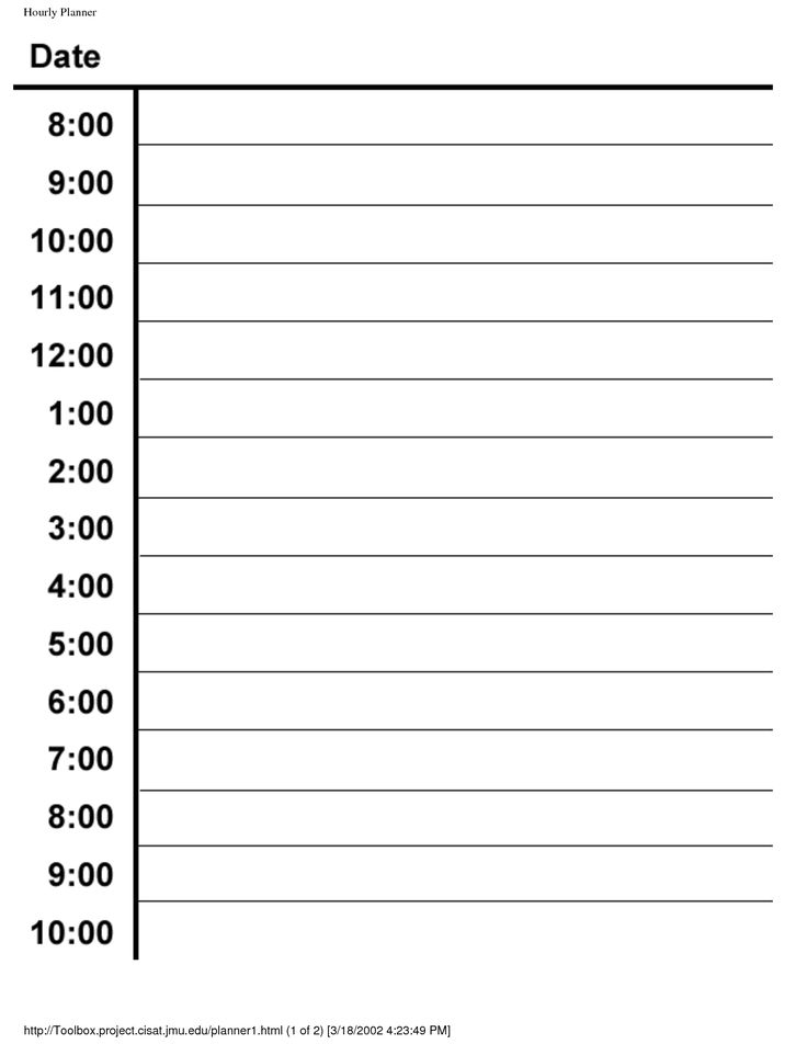 Hourly Daily Planner Template Daily Schedule Template Daily Calendar 