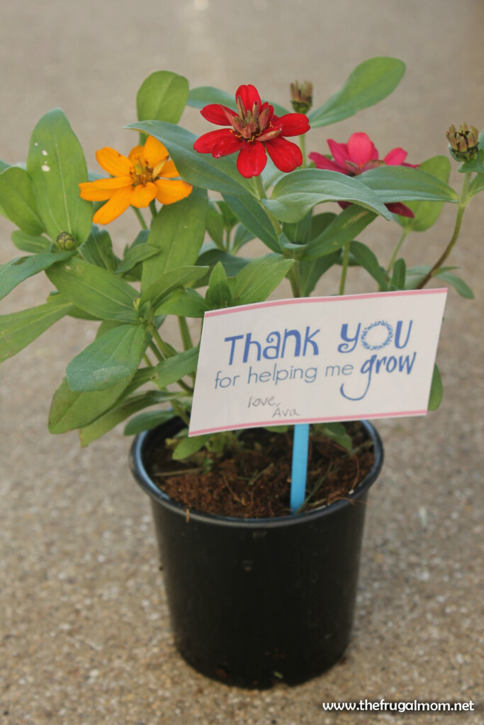 How To Make A Cute Teacher Appreciation Flower Gift Hustle Mom Repeat