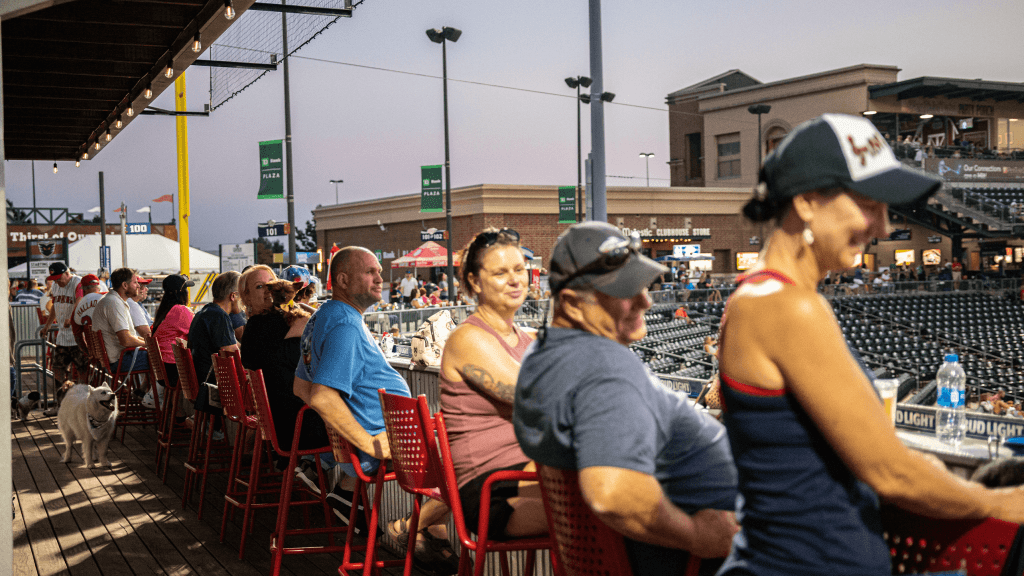 Ironpigs IronPigs