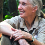 Jane Goodall Comes To Copperfield s Books In Sonoma County Only