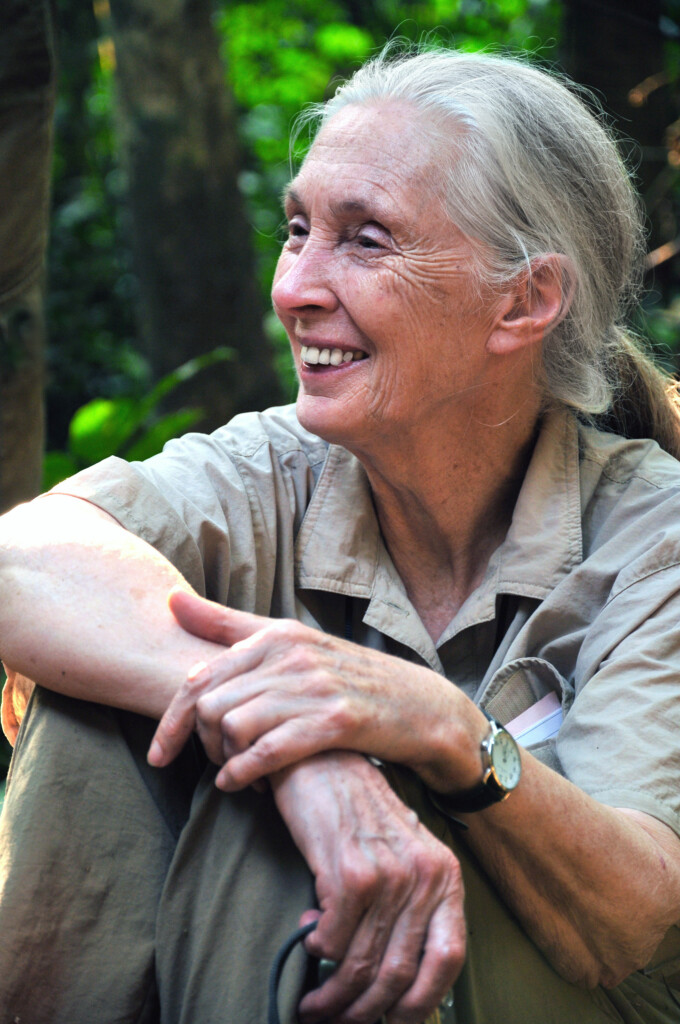 Jane Goodall Comes To Copperfield s Books In Sonoma County Only 