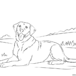 Labrador Retriever Cute Dog Coloring Page Printable
