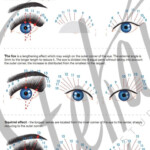 Lash Map SheetsDirections Printable Lash Mapping Etsy In 2021