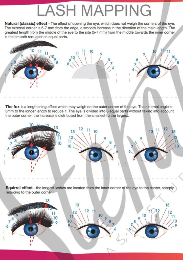 Lash Map SheetsDirections Printable Lash Mapping Etsy In 2021 