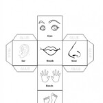 Learn Body Parts Worksheets 99Worksheets