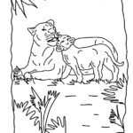 Lioness Coloring Pages Download And Print For Free