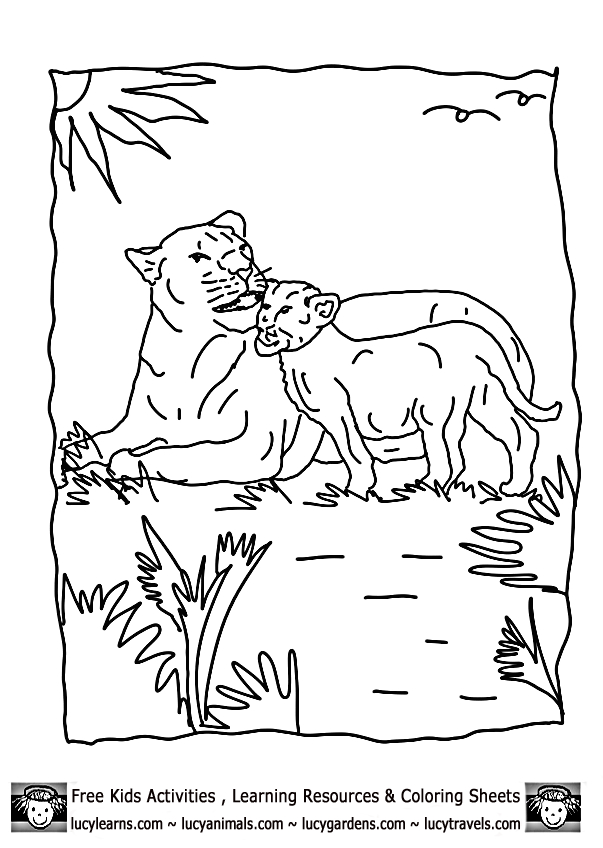 Lioness Coloring Pages Download And Print For Free