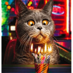 Make A Wish Funny Cat Birthday Card Cat Birthday Greetings Cat
