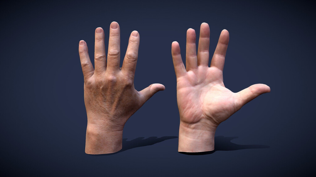 Male Hands Buy Royalty Free 3D Model By Lassi Kaukonen thesidekick 