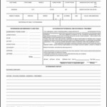 Medical Record Forms Template Inspirational 27 Of Printable Veterinary