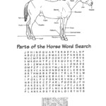 Medieval Word Search Activity Shelter