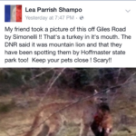 Michigan Lower Peninsula Cougar Photo Exposed As A Hoax Mlive