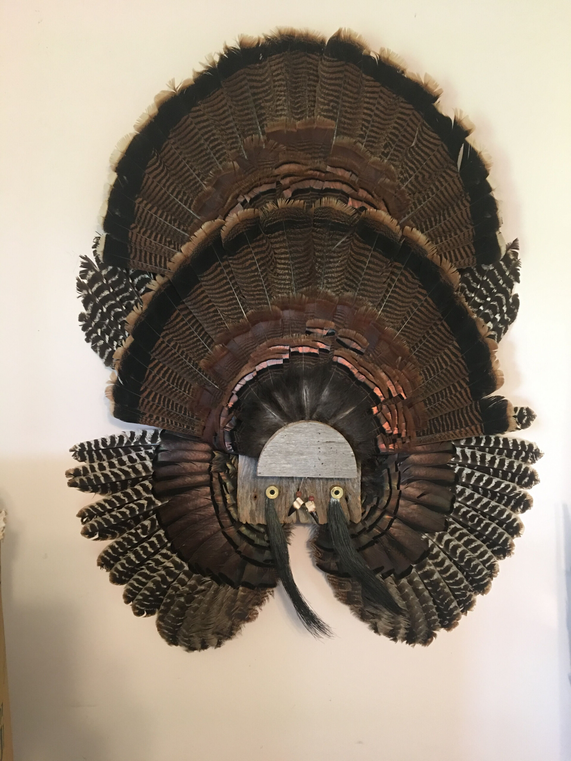 My Turkey Fan Mount Turkey Fan Halloween Wreath Fan