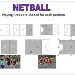 Netball Positions And Area Worksheets Lesson One Area Worksheets