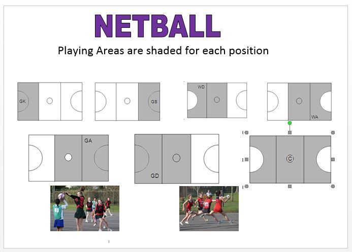 Netball Positions And Area Worksheets Lesson One Area Worksheets 