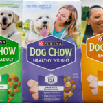 NEW 5 00 Off Purina Dog Chow Coupon PRINT NOW