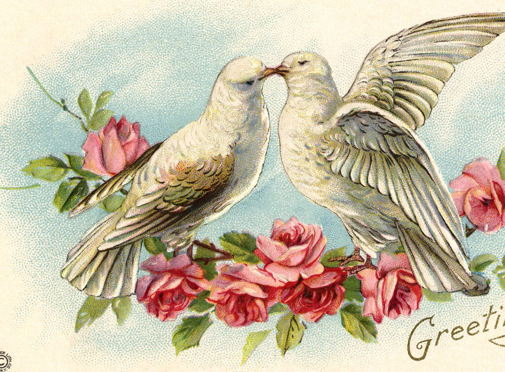 Old Valentine Picture Doves And Roses The Graphics Fairy