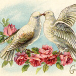 Old Valentine Picture Doves And Roses The Graphics Fairy