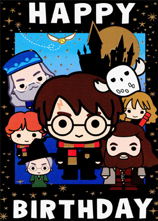 Paper House Productions Cute Harry Potter And Friends Juvenile Birthday