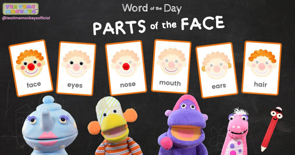 PARTS OF THE FACE Picture Word Flashcards Tea Time Monkeys