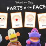 PARTS OF THE FACE Picture Word Flashcards Tea Time Monkeys