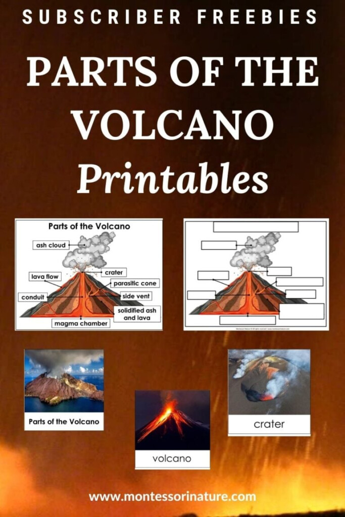 Parts Of The Volcano Poster 3 Part Cards Blackline Masters Free 