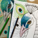 Peacock Coloring Pages For Kids