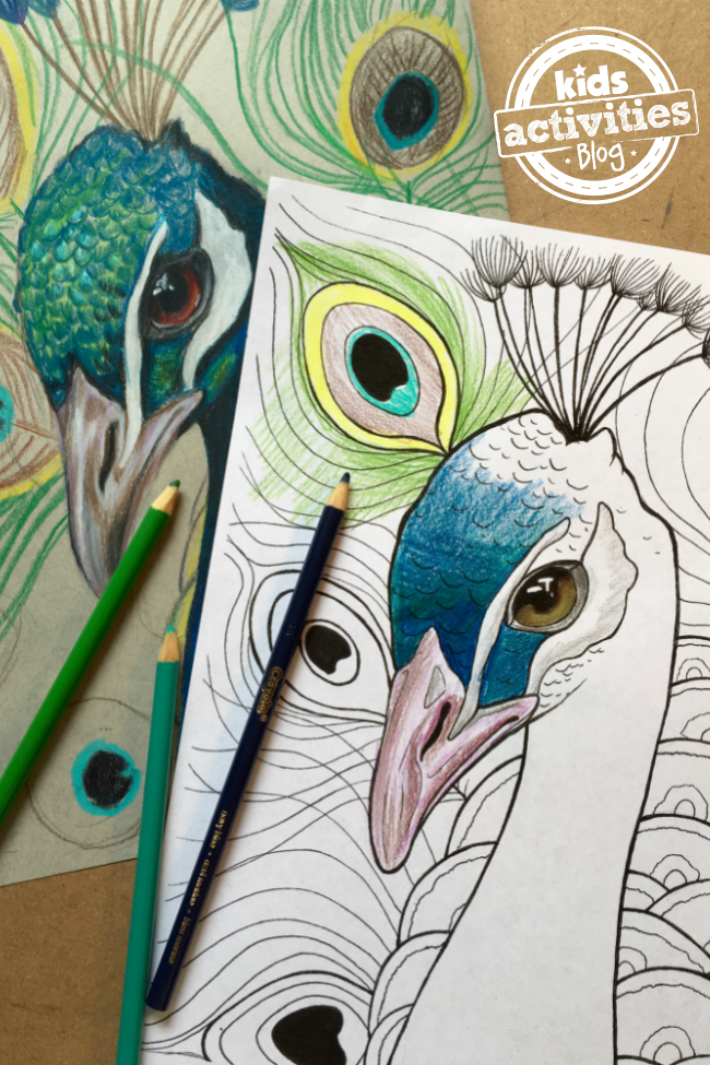 Peacock Coloring Pages For Kids