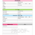 Pet Information Organizer Organizing Printable Template PDF Digital