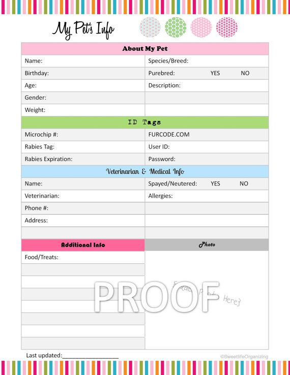 Pet Information Organizer Organizing Printable Template PDF Digital 