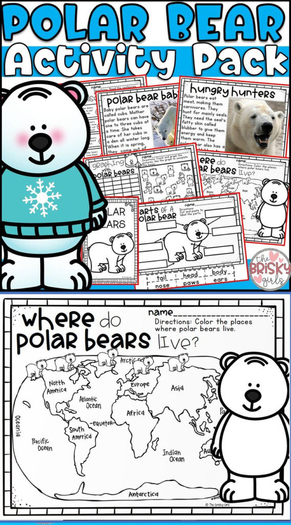 Pin By The Brisky Girls On teaching Polar Bears Kindergarten Bear 