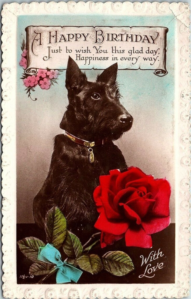 Postcard Scottish Terrier Dog Scottie Happy Birthday England York 