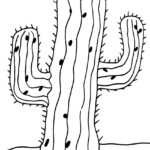 Printable Cactus Coloring Pages For Kids