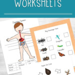 Printable Science Worksheets For Kids Preschool Science Activities