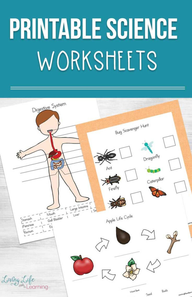 Printable Science Worksheets For Kids Preschool Science Activities 